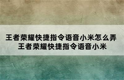 王者荣耀快捷指令语音小米怎么弄 王者荣耀快捷指令语音小米